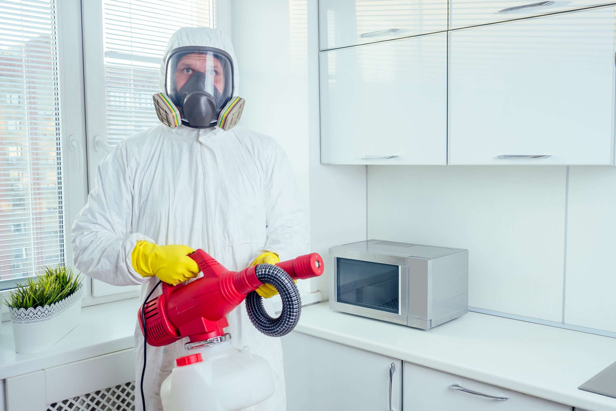 Why Pest inspection Is Vital Before Purchasing a Property