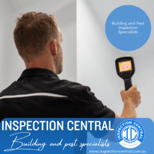 Our team inspecting property walls for signs of moisture using thermal imaging 