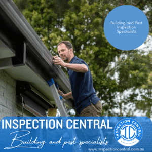 Building inspector evaluating residential home guttering during recent home inspection.