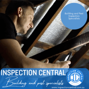 Inspection Central Building and Pest conducting check-up of roof insulation