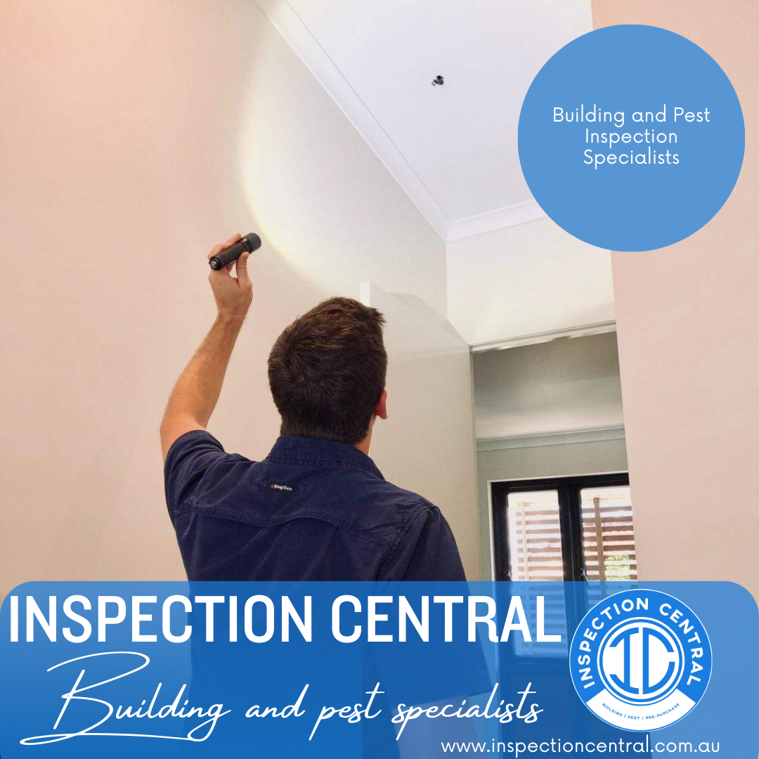 Inspection Central team member conducting visual ceiling defect inspection of Chelmer home's interior ceiling